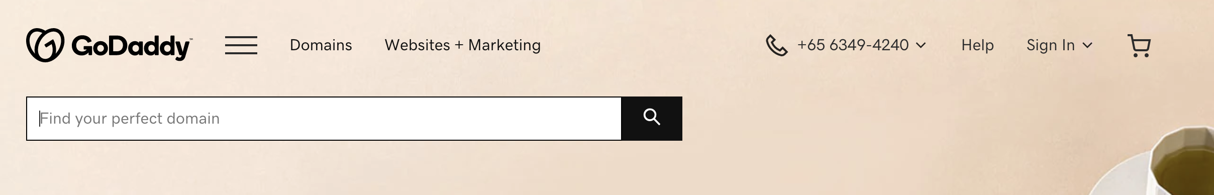 GoDaddy search for a domain name